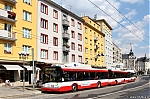 310.jpg