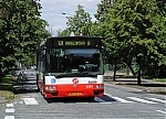3209.jpg