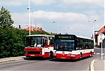 3210.jpg