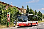 3247.jpg