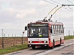 3254.jpg