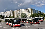 3270.jpg