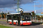 3272.jpg