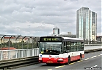3291.jpg