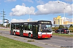 3302.jpg