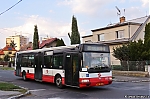 3303.jpg