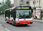 3376.jpg