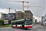 3378.jpg