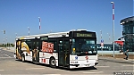 3380.jpg