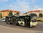 3387.jpg