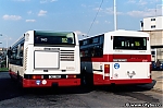 3403.jpg
