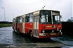 341.jpg