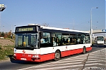 3413.jpg