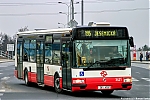 3421.jpg
