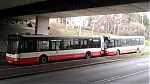 3423.jpg