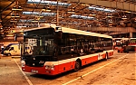 3538.jpg