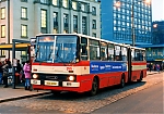 355.jpg
