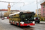 3557.jpg