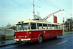 358.jpg
