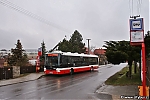 3599.jpg