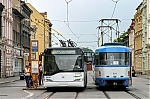 3602.jpg