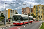 3612.jpg