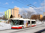 3614.jpg