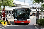 3682.jpg
