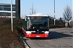 3729-1.jpg