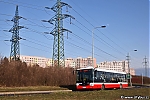3732-1.jpg