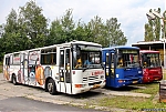 383.jpg