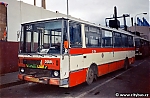 3856.jpg
