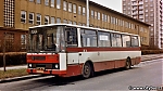 3876.jpg