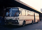 4004.jpg