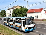 403.jpg