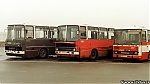 4265.jpg