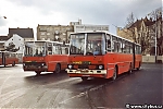 4337.jpg