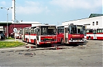 4356.jpg
