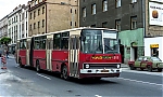 4383.jpg