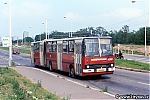 4397.jpg