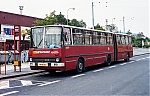 4419.jpg