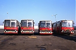 44444.jpg