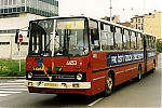 4453.jpg