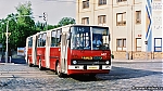4457.jpg