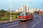 4457~0.jpg