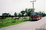 Název souboru=4491.jpg
Velikost souboru=226KB
Rozměry=1024x683
Datum přidání=22. Říjen 2016 4491.jpg