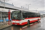 4502.jpg