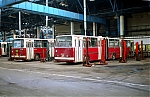 4513.jpg