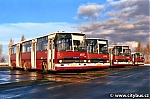 4527~0.jpg