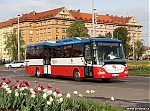 4529~0.jpg